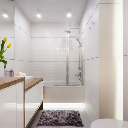 Prestigious Apartment In Kazimierz 公寓 克拉科夫